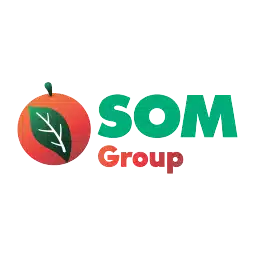 Gruppo SOM